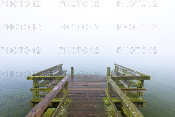 Wooden jetty at Lake Ratzeburg, Ratzeburger See in the mist, Lauenburg Lakes Nature Park, Naturpark