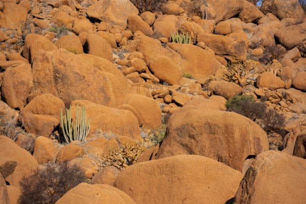 Cluster of bright orange rocks in the barren landscape of Spitzkoppe, Spitzkoppe, Namibia