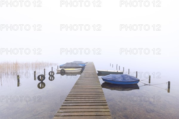 Rowing boats / rowboats moored to wooden jetty at Lake Ratzeburg / Ratzeburger See in mist,