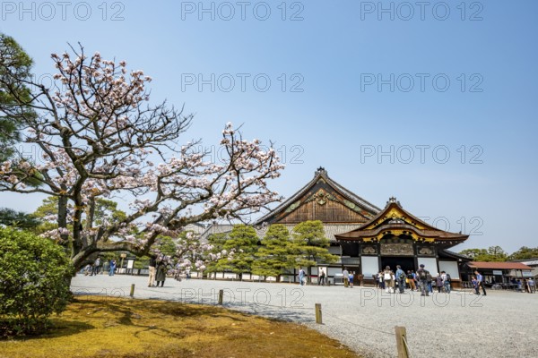 Kuruma-yose building behind the Tosaburai with blooming cherry tree, former imperial villa, Nijo