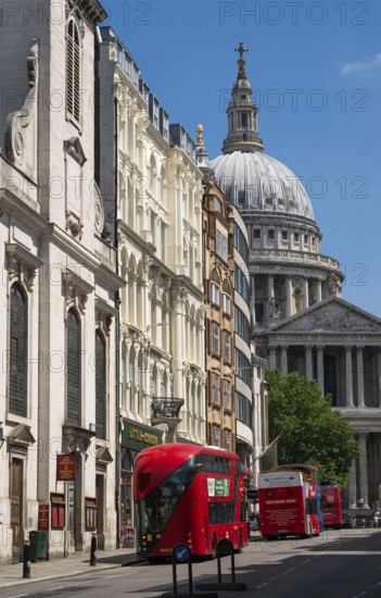 Red double-decker buses on Lugate Hill Street with historic buildings and the dome of St. Paul's
