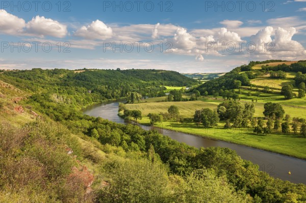 View of the river Saale in the Lower Saale Valley nature park Park, Rothenburg, Saxony-Anhalt,
