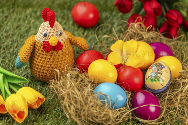 Crocheted chicken and colorful easter eggs with tulips on green grass