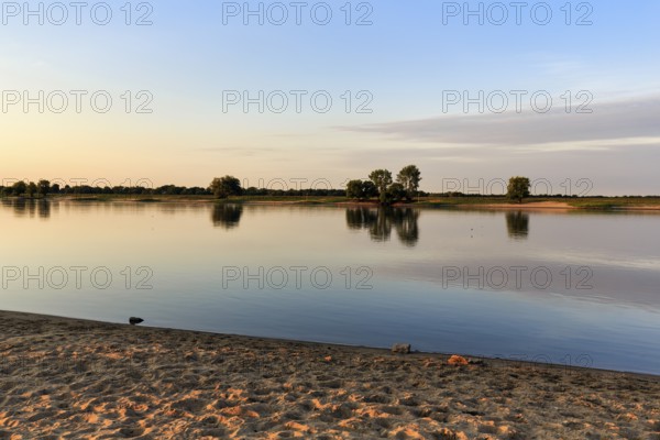 UNESCO Elbe River Landscape Biosphere Reserve, Lower Saxony Elbe floodplain, riverbank with beach,