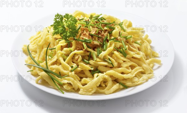 Plate with spaetzle decorated with roasted onions, chives and parsley, studio shot against a white