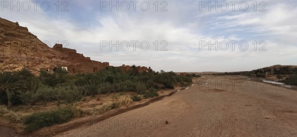 Arid desert landscape with oasis flair and an empty riverbed under a cloudy sky, Morocco