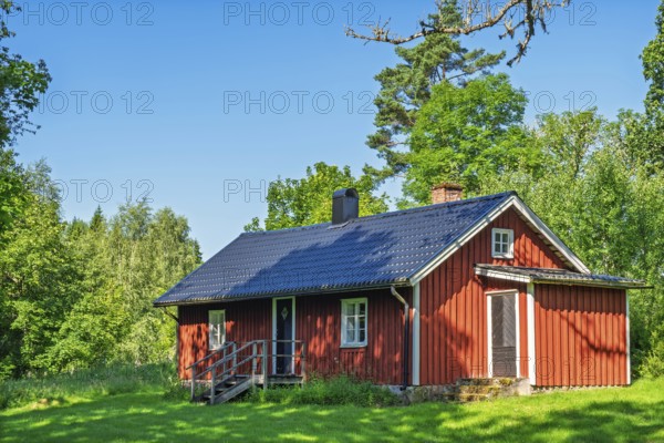 Red wooden country house with dark roof on green lawn surrounded by trees and forest under clear