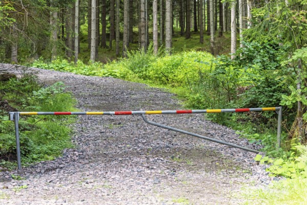 Road barrier gate blocking a gravel forest road surrounded by dense green coniferous trees in the