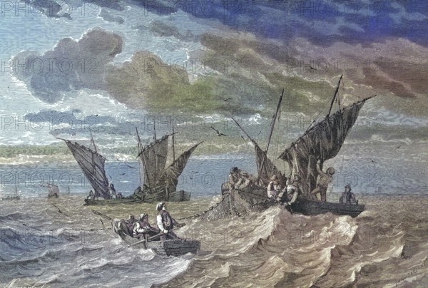 Fishermen at sardine catch near the coast of Brittany, France/Fishermen at sardine catch near the