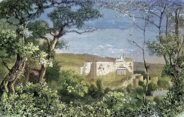 The remains of the castle of Liechtenstein, Brühl near Vienna, Austria/the remains of the castle of