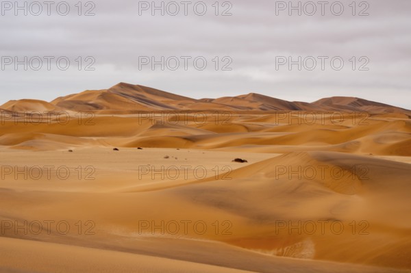 Sand dunes of the Namib Desert near Walvis Bay, Namibia