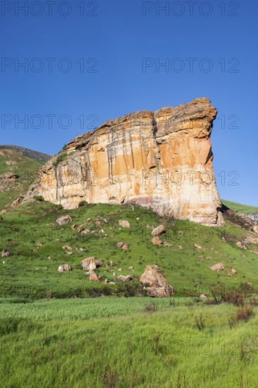 Brandwag Buttress, grassland with sandstone cliffs and cliffs, landscape in Golden Gate Highlands