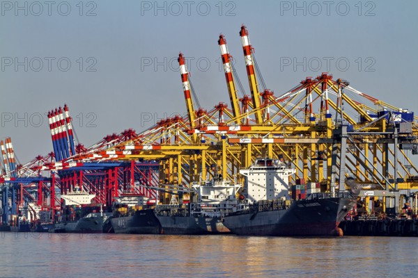 Various container cranes in yellow and red, several ships lying in the harbor, The cranes of the