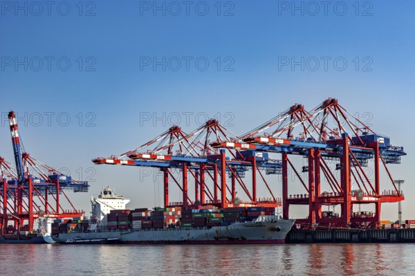Cargo ship is unloaded by red and blue cranes in the harbor, everything under a blue sky, The