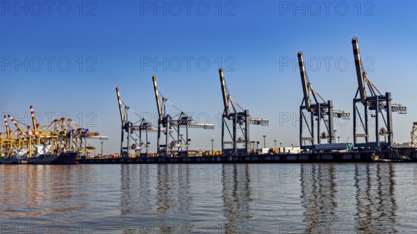 Cranes at the harbor in clear blue sky, reflected in the water, industrial ambiance, The cranes of