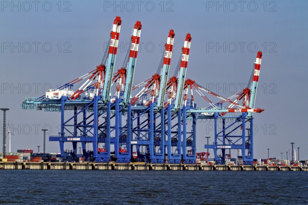 Row of blue and red harbor cranes, containers in the background, calm water, The cranes of the