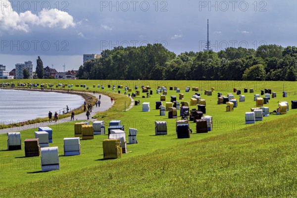 Lots of beach chairs on a green field next to a path with a view of a city in the background, beach