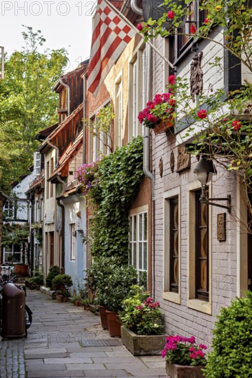 Picturesque old town alleyway with historic houses, surrounded by plants and flowers in a quiet