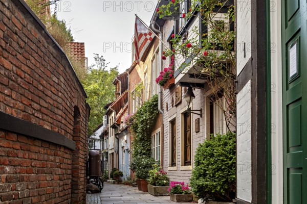 Narrow old town alleyway next to a brick wall, lined with charming houses and an idyllic