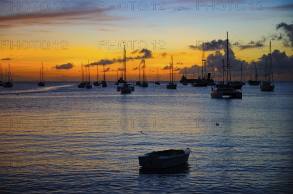 Romantic evening mood over Tyrrell Bay with many sailboats sailing yachts, rowing boat in the