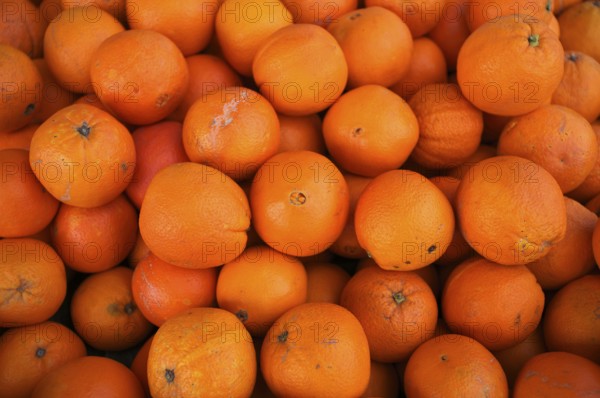 Oranges, juice oranges, fruit, fruit stand, market stand, market, Fellbach, Baden-Württemberg,