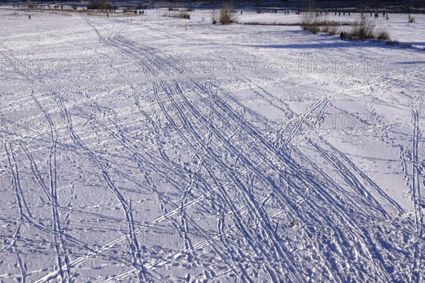 Traces in snow, winter, Germany