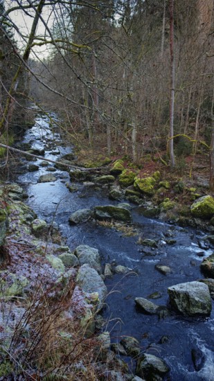 Small river in the forest with rocks and moss-covered trees along the shore, Frankenwald nature