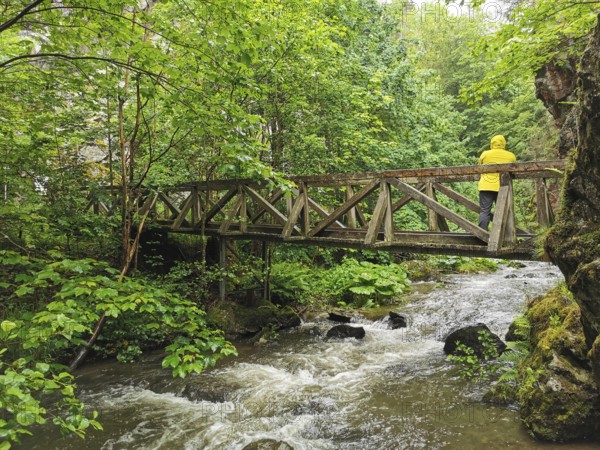 Person wearing a yellow raincoat on a wooden bridge over a river in a green forest, Frankenwald