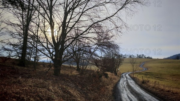 Winding trail through a wintry landscape with bare trees and the sun shining through clouds,