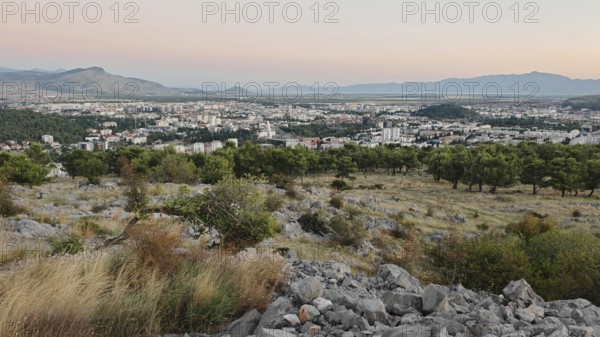 A city surrounded by nature with trees in the foreground and mountains in the background,