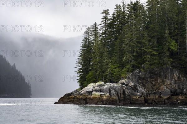 Rocky coast with coniferous forest, coastal landscape, mystical cloud-covered mountains, Kenai
