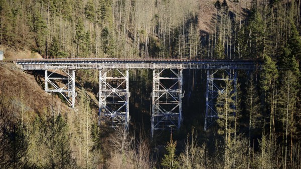 Old metal railway bridge surrounded by a thick forest in sunlight, Ziemestalbrücke, Thuringian