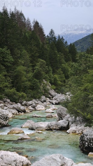 River flows over stones through a forest with mountains in the background, Soca Valley, Slovenia