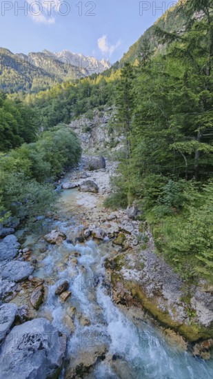 Stream flows through a wooded gorge with rocks, Soca Valley, Slovenia