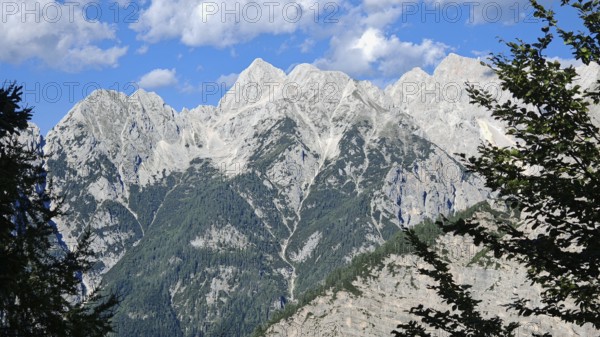 Majestic mountains under blue sky with trees in the foreground, Slovenia