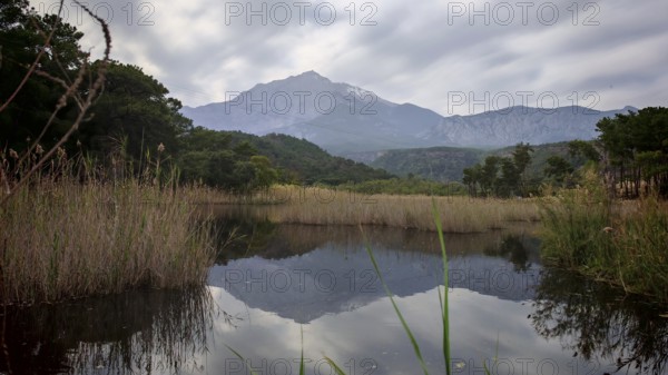 A calm lake reflects the Tahtali Dagi and surrounding mountains and clouds, surrounded by reeds