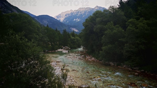 A mountain river flows through a wooded landscape with mountains in the background, Soca Valley,