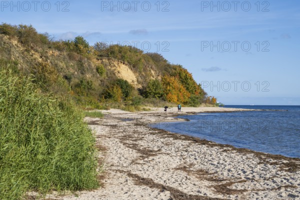 Beach and cliffs, people on the beach, autumn, Lobbe, Mönchgut, Rügen, island, Baltic Sea,
