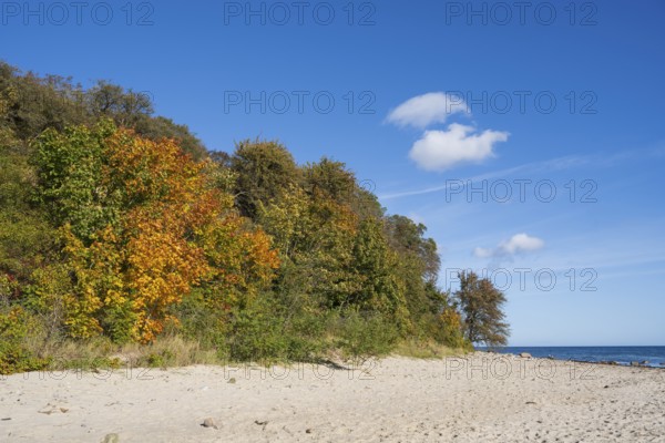 Beach and cliffs, autumn, Lobbe, Mönchgut, Rügen, island, Baltic Sea, Mecklenburg-Western