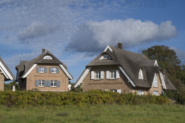 Two new thatched houses next to each other, Lobbe, Mönchgut peninsula, Rügen, island, Baltic Sea,
