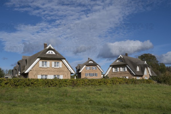 Several new thatched houses next to each other, Lobbe, Mönchgut peninsula, Rügen, island, Baltic