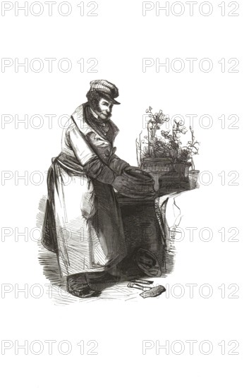 Types from Holland around 1841, Haringkoper, in German herring dealer or herring buyer,