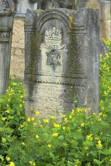 Tombstone with reliefs of crown and star of David, Jewish cemetery, since 1866, Czernowicz,