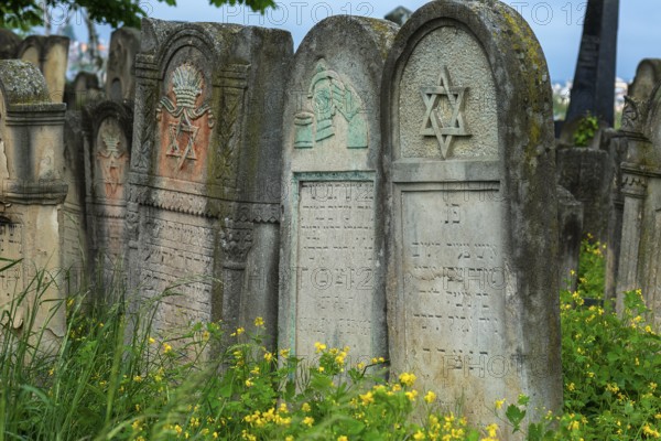 Tombstone with fabulous reliefs of various Jewish symbols, Jewish cemetery, since 1866, Czernowicz,