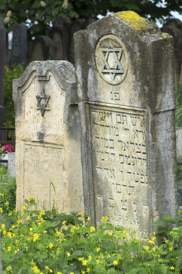 Tombstones with reliefs of a Star of David, Jewish cemetery, since 1866, Czernowicz, Bukovina,