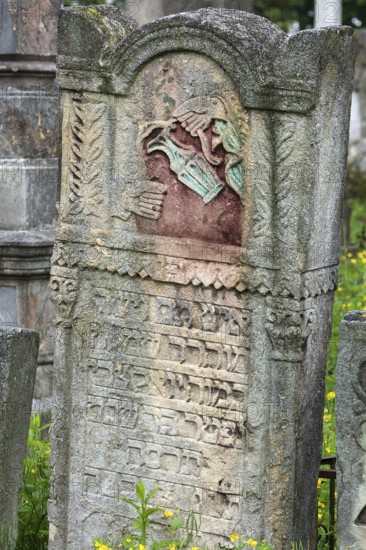 Jewish tombstone with coloured relief of a Levite pot, Jewish cemetery, since 1866, Czernowicz,