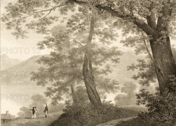 Villa Sommariva garden, now known as Villa Carlotta, is located in Cadenabbia on Lake Como, 1860,