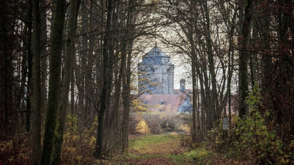 A path leads through a bare forest to a visible castle in the background, view of Rosenberg