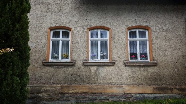 Three glazed windows with curtains and flowers, orchids (Orchidaceae) on a rustic house façade,