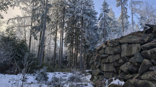 Cold winter picture with a pile of stones in the forest, old quarry surrounded by snow-covered
